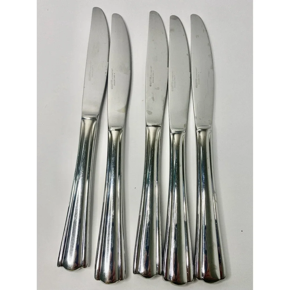 Hampton Silversmith 18/10 ELANA Stainless Dinner Knives Lot Of 5